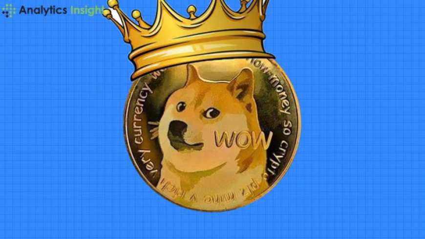 An analysis of Dogecoin prices for November 2024